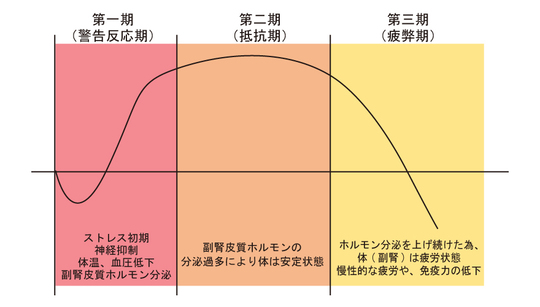 ストレスについて - 鷺沼カイロプラクティック鍼灸整体院