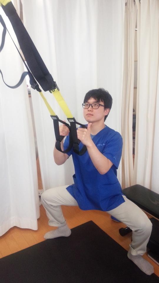 マニュピレーション　理学療法士、柔道整復師、鍼灸師、カイロプラクティック向け マニュピレーション 理学療法士、柔道整復師、鍼灸師、カイロ